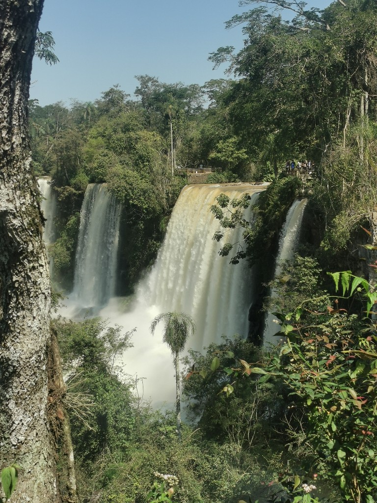 Magnifiques chutes d'Iguazu